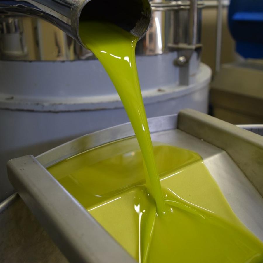Huile d'olive extra vierge fraîchement pressée